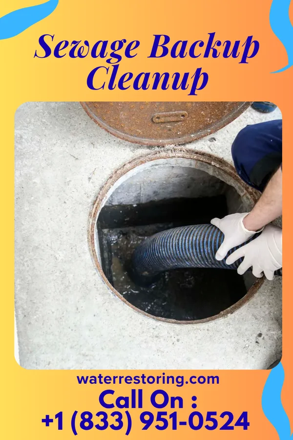 Sewage Backup Cleanup in Wade Hampton, SC