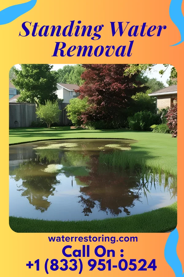 Standing Water Removal in Wade Hampton, SC